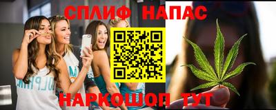 тгк Владимир