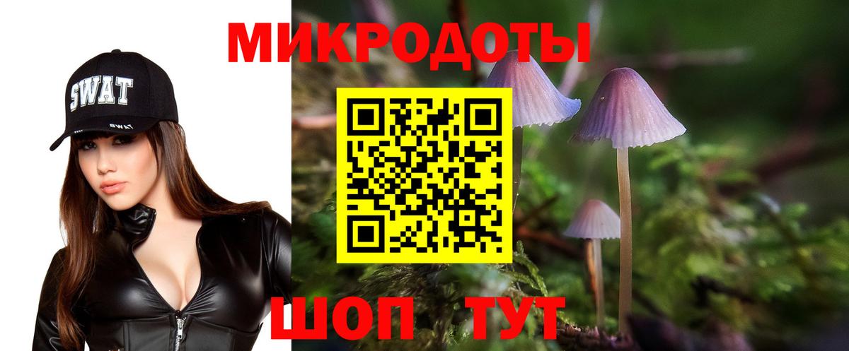 Галлюциногенные грибы мицелий  Вход с VPN  Псилоцибиновые грибы мицелий  Видное 